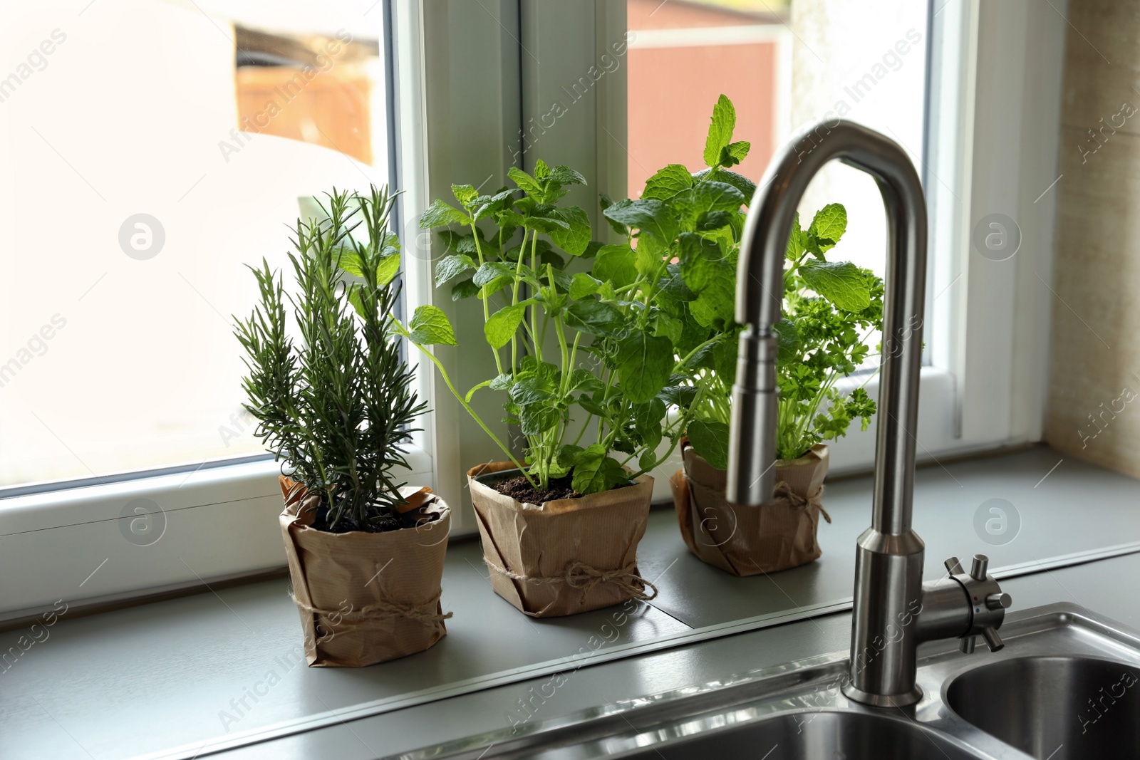 Photo of Different aromatic potted herbs on window sill near kitchen sink