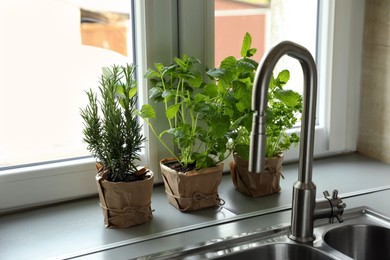 Different aromatic potted herbs on window sill near kitchen sink