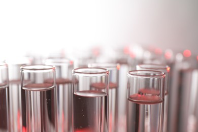 Photo of Many glass test tubes on light background, closeup