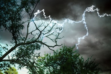 Image of Dark cloudy sky with lightning striking trees. Thunderstorm