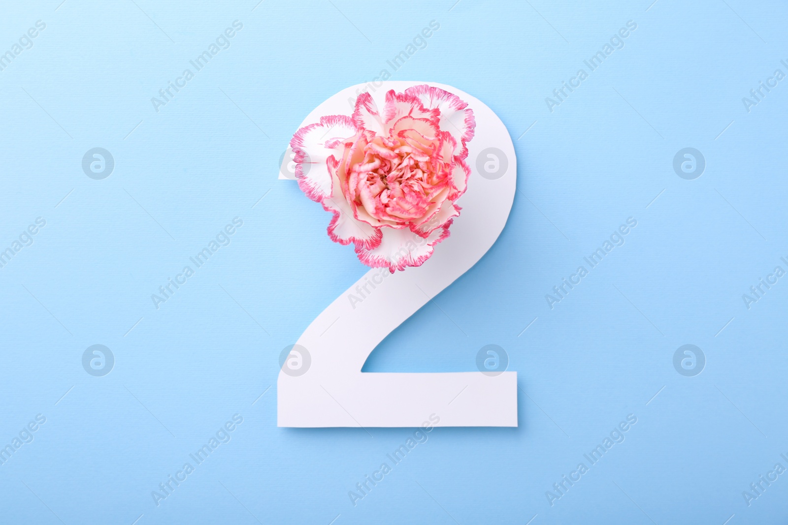 Photo of Paper number 2 and beautiful flower on light blue background, top view