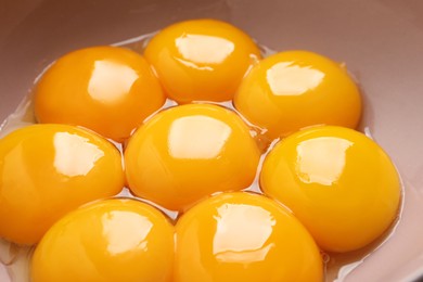Bowl with raw egg yolks, closeup view