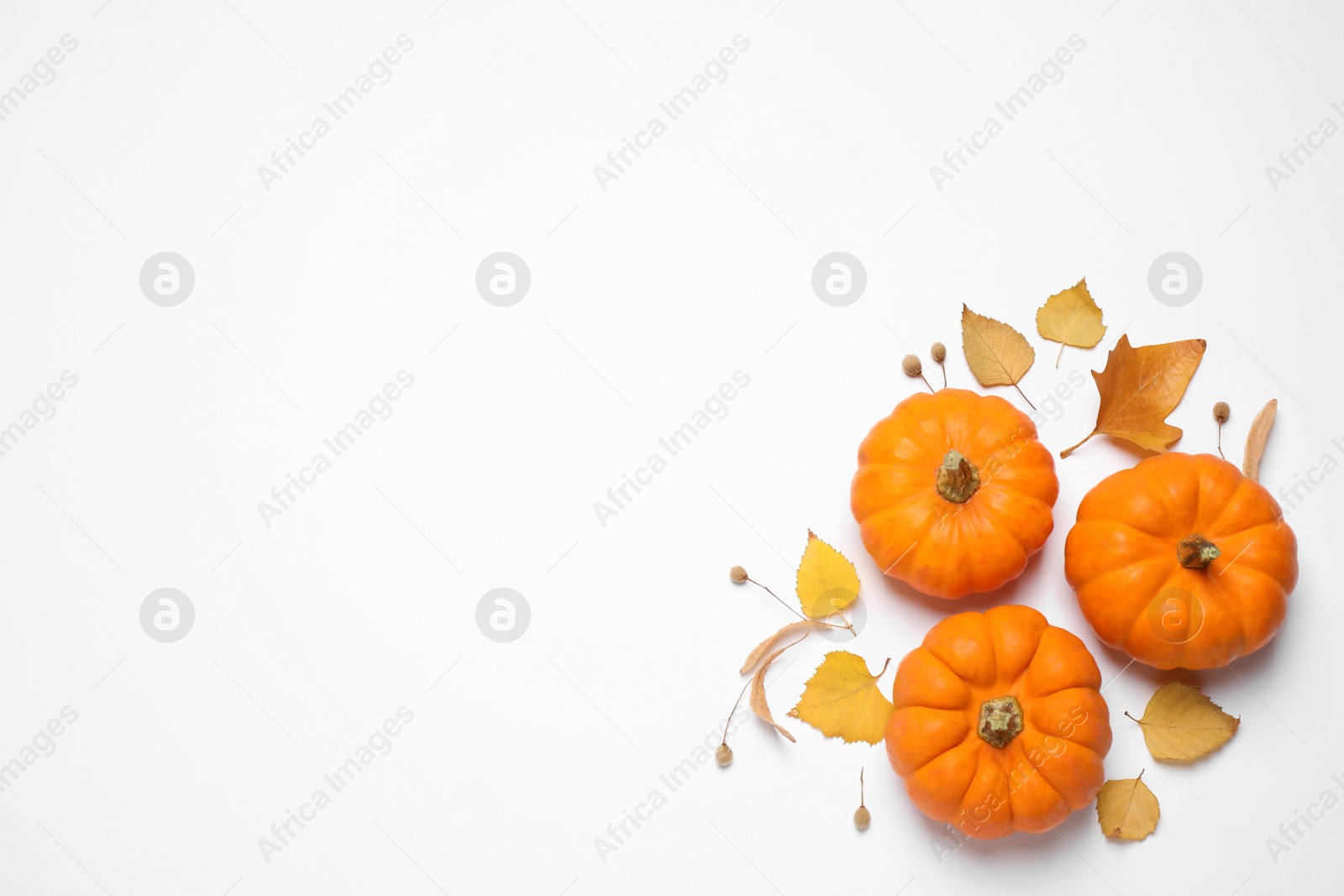 Photo of Composition with pumpkins and autumn leaves on white background, top view