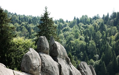 Picturesque view of mountains covered with forest and stones