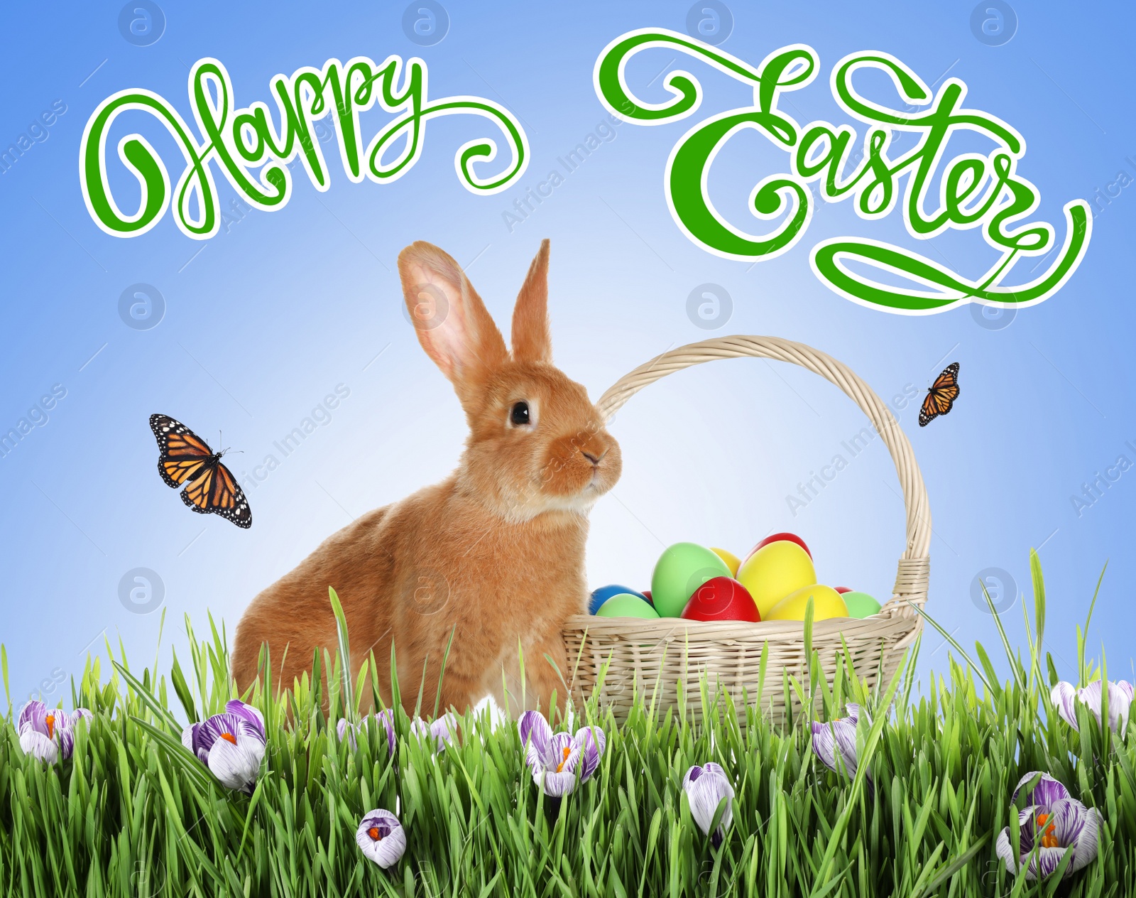 Image of Happy Easter. Adorable bunny near wicker basket with dyed eggs on green grass outdoors