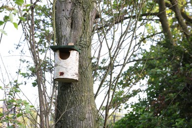 Photo of Beautiful wooden birdhouse hanging on tree trunk in forest