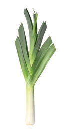 Photo of Fresh raw leek on white background. Ripe onion