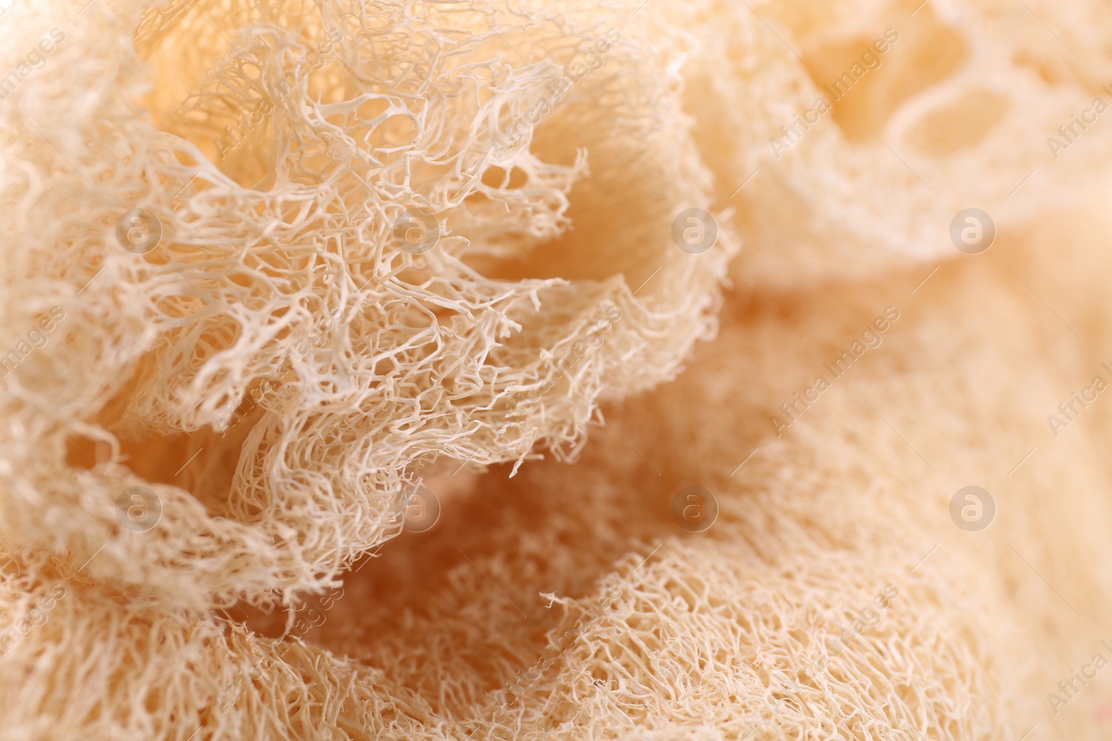 Photo of Natural loofah sponge as background, closeup view