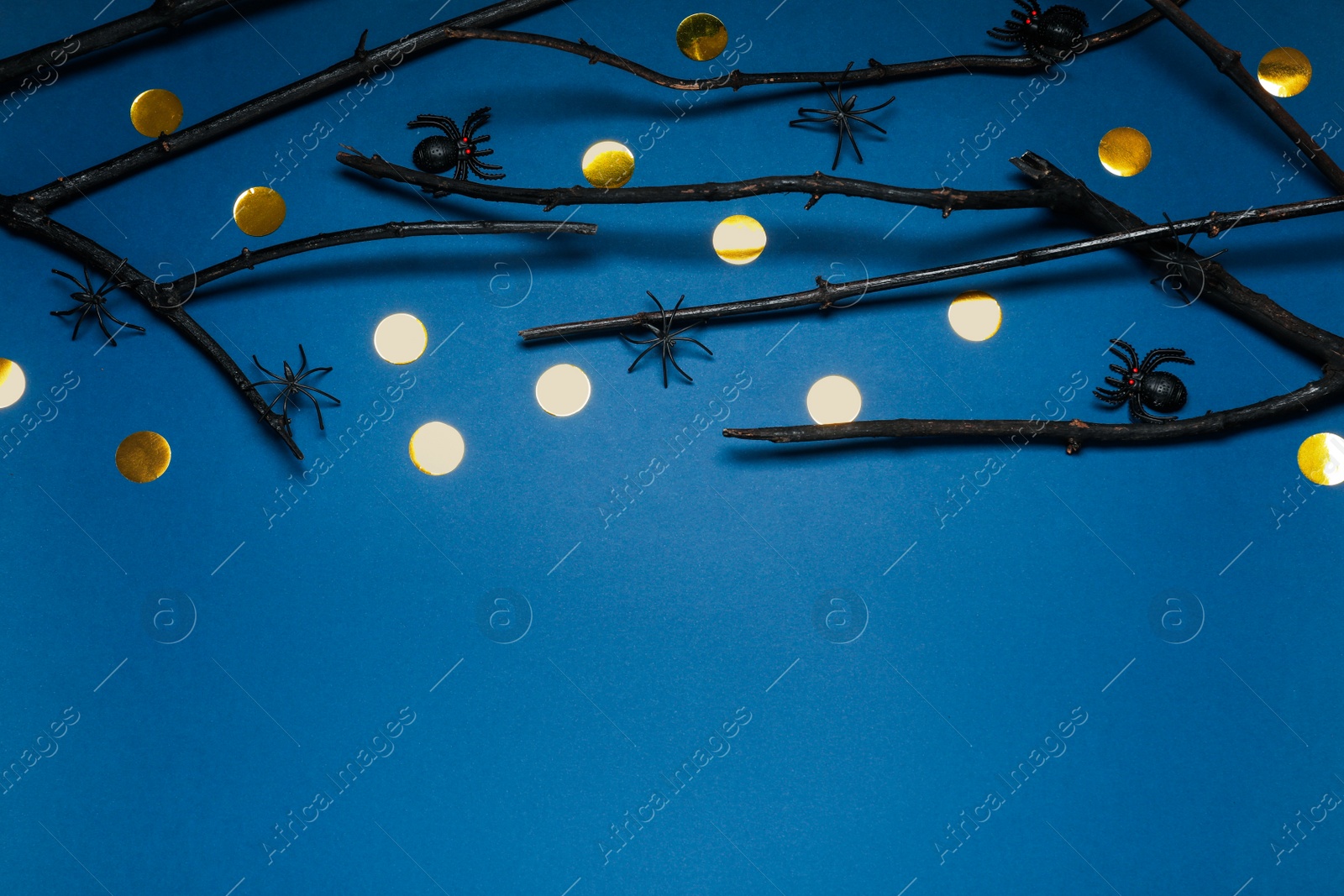 Photo of Black branches and spiders on blue background, above view with space for text. Halloween celebration