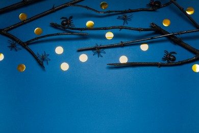 Photo of Black branches and spiders on blue background, above view with space for text. Halloween celebration