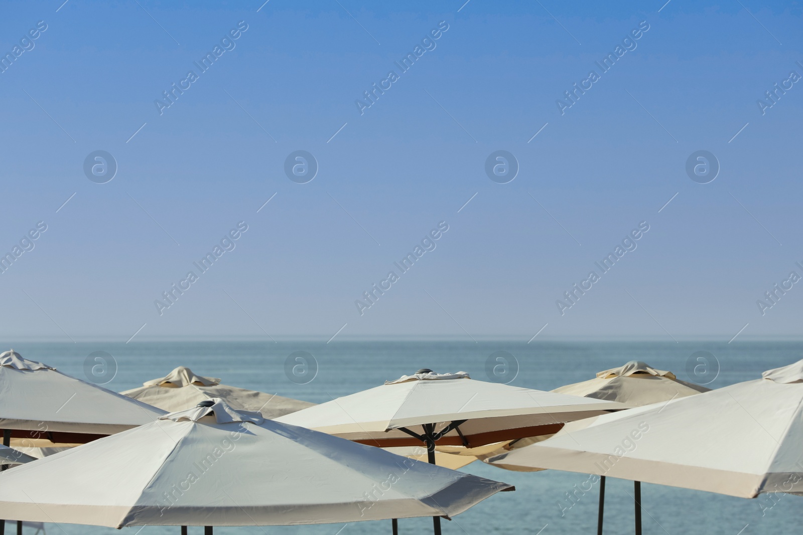 Photo of Many beach umbrellas at resort on sunny day