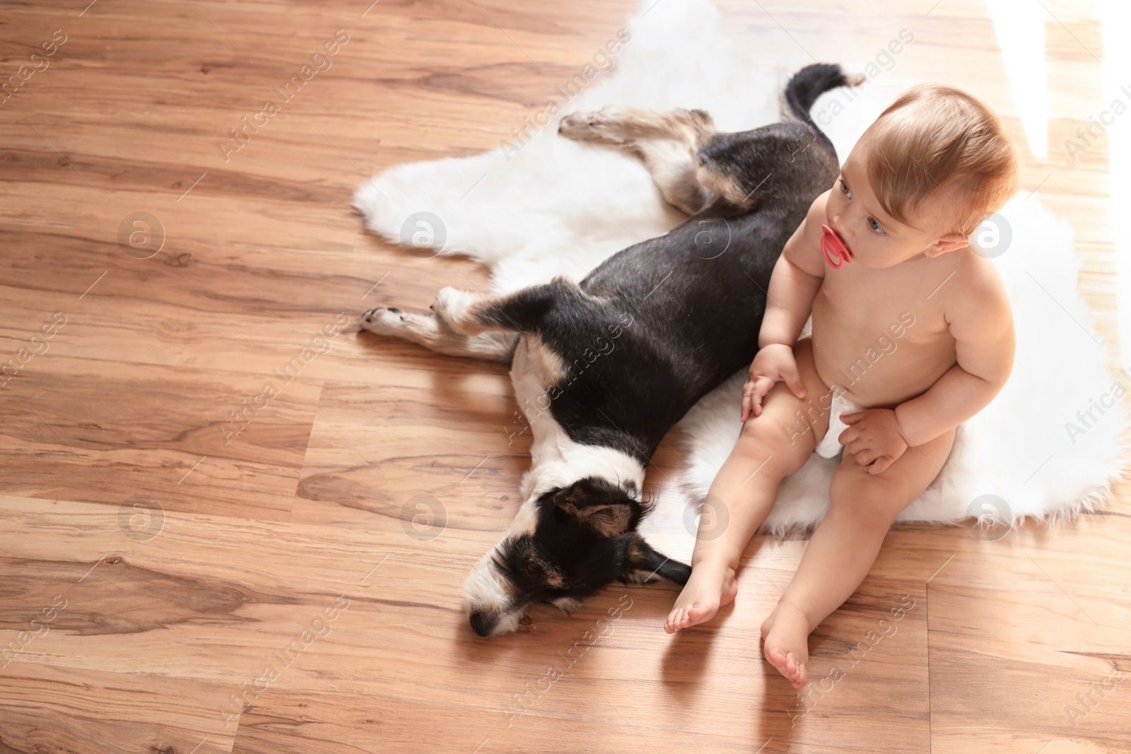 Photo of Adorable baby with pacifier and cute dog on faux fur rug, above view. Space for text