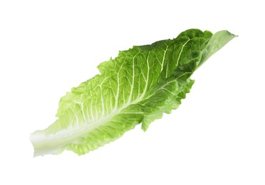 Fresh leaf of green romaine lettuce isolated on white