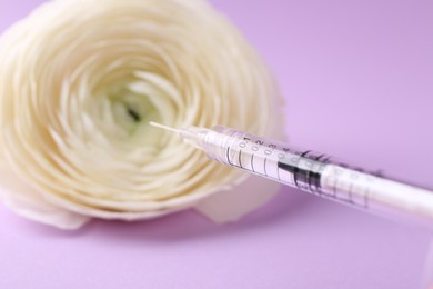 Photo of Cosmetology. Medical syringe and ranunculus flower on violet background, closeup