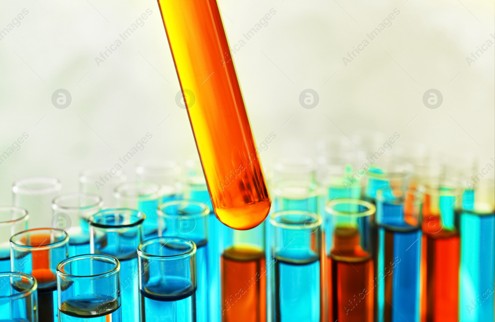 Photo of Taking test tube with liquid sample on color background, closeup