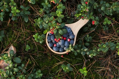 Photo of Wooden mug full of fresh ripe blueberries and lingonberries in grass, above view