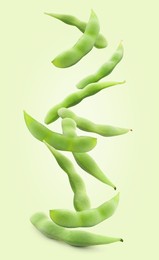 Many edamame pods falling on light green background