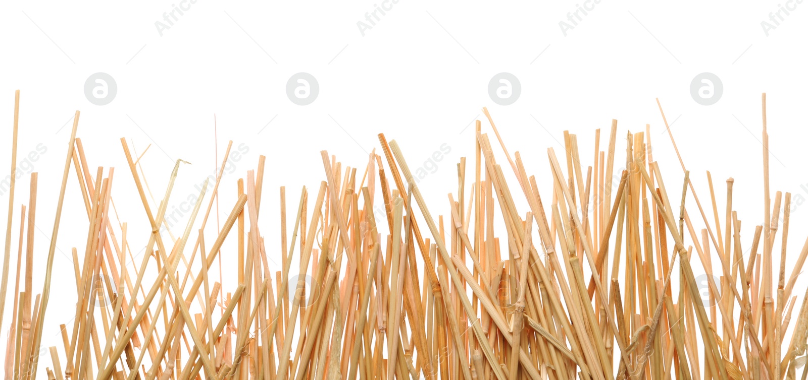 Photo of Dried hay on white background, top view