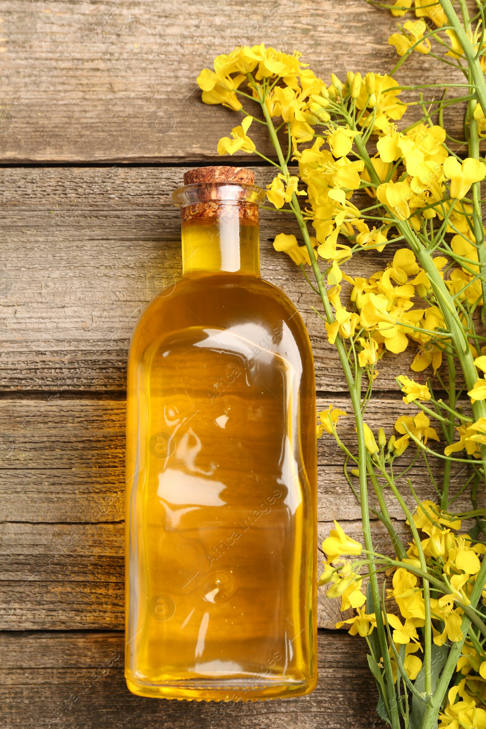 Photo of Rapeseed oil in glass bottle and beautiful yellow flowers on wooden table, flat lay