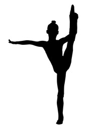 Silhouette of professional gymnast exercising on white background