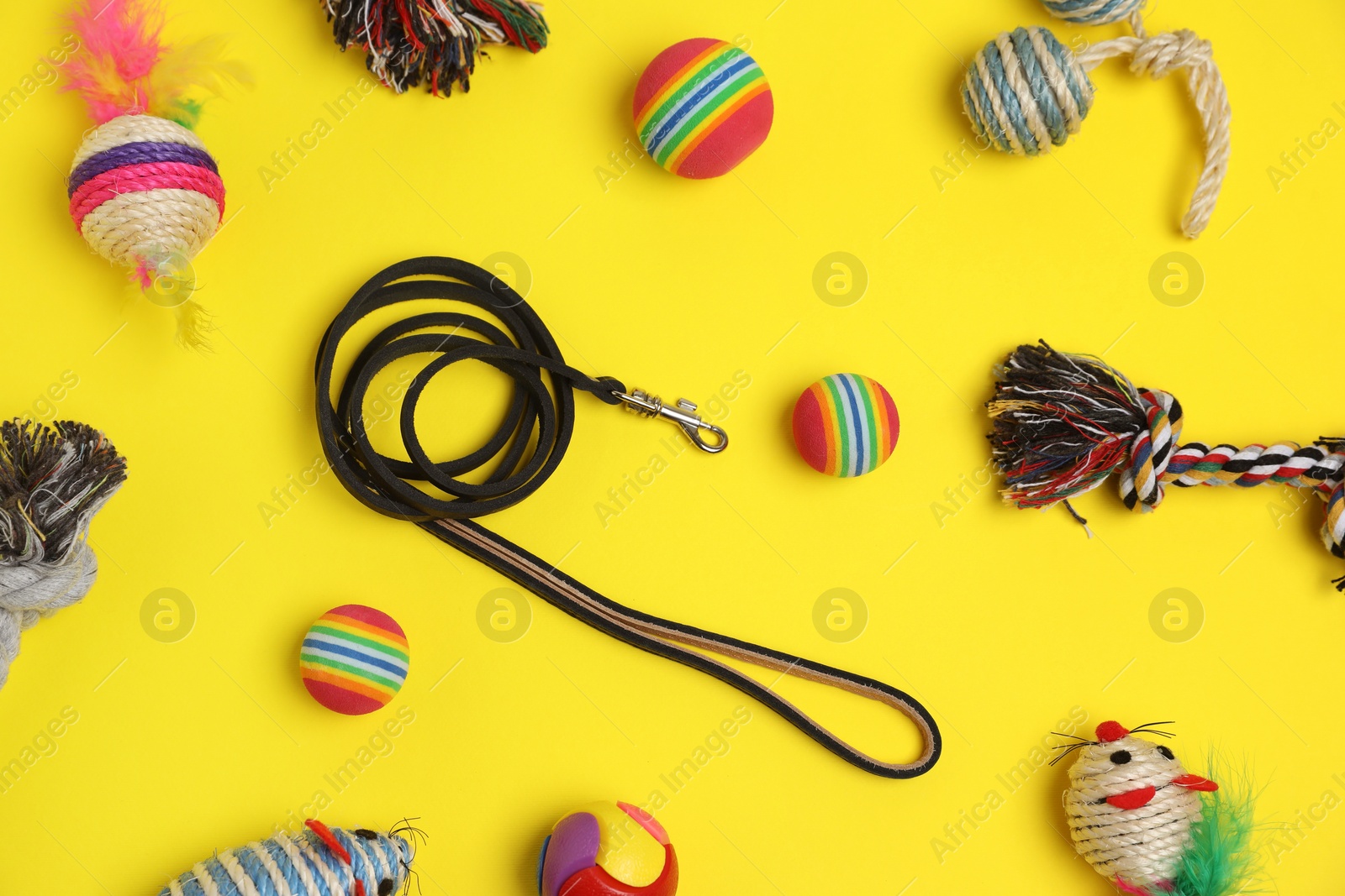 Photo of Flat lay composition with pet leash and toys on yellow background