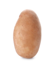 Fresh ripe organic potato on white background