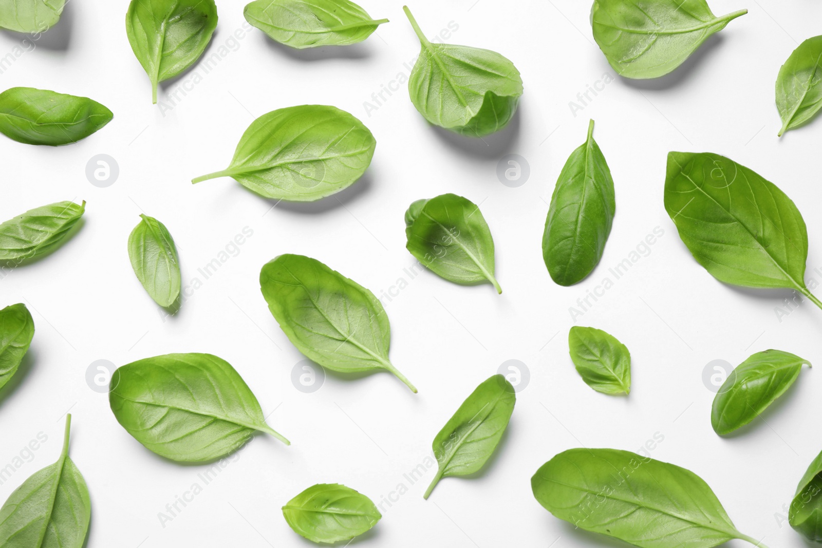 Photo of Fresh green basil leaves on white background, top view