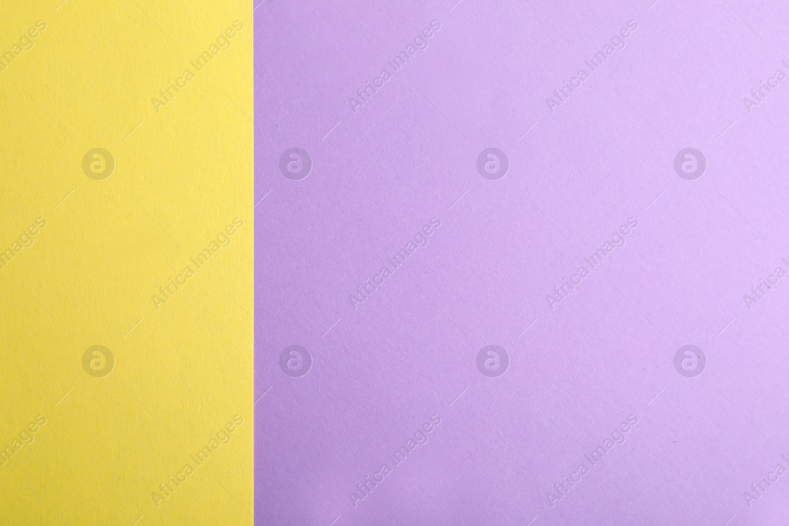 Photo of Violet and yellow paper sheets as colorful background, top view