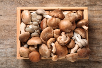 Different wild mushrooms in crate on wooden background, top view