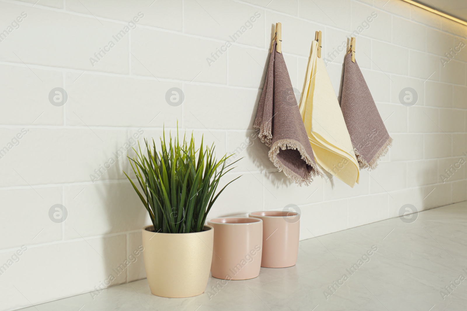 Photo of Beautiful houseplant, cups and kitchen towels indoors