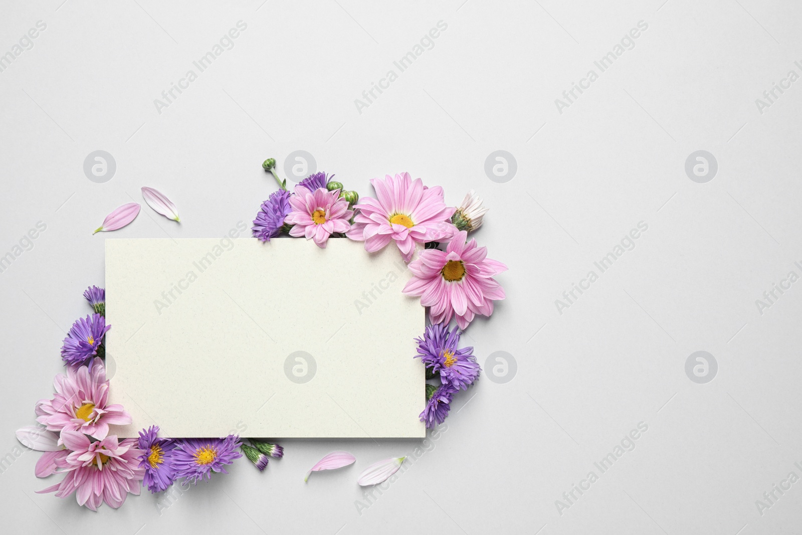 Photo of Beautiful chamomile flowers and paper card on white background, flat lay with space for text