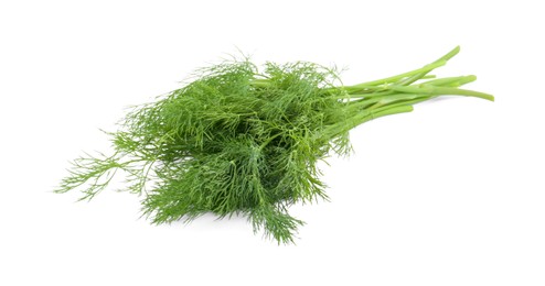 Photo of Bunch of fresh dill isolated on white