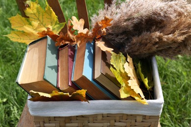 Photo of Different books and maple leaves in basket outdoors, closeup. Autumn atmosphere