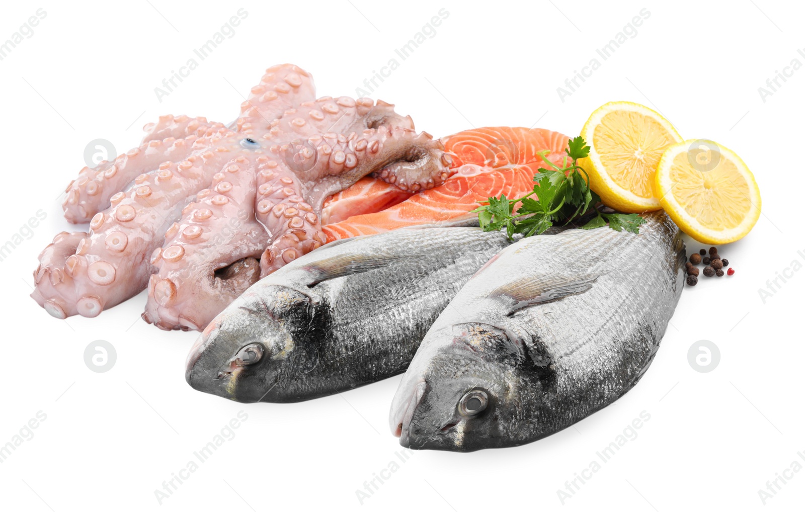 Photo of Fresh dorado fish, octopus and salmon on white background