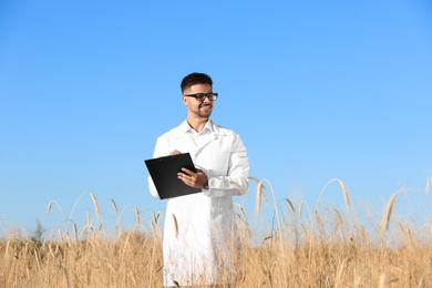 Photo of Agronomist with clipboard in wheat field. Cereal grain crop