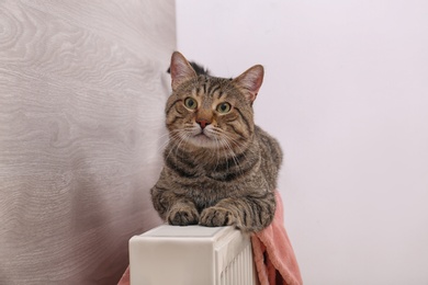 Photo of Cute tabby cat on heating radiator with plaid indoors