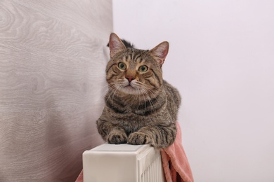 Cute tabby cat on heating radiator with plaid indoors