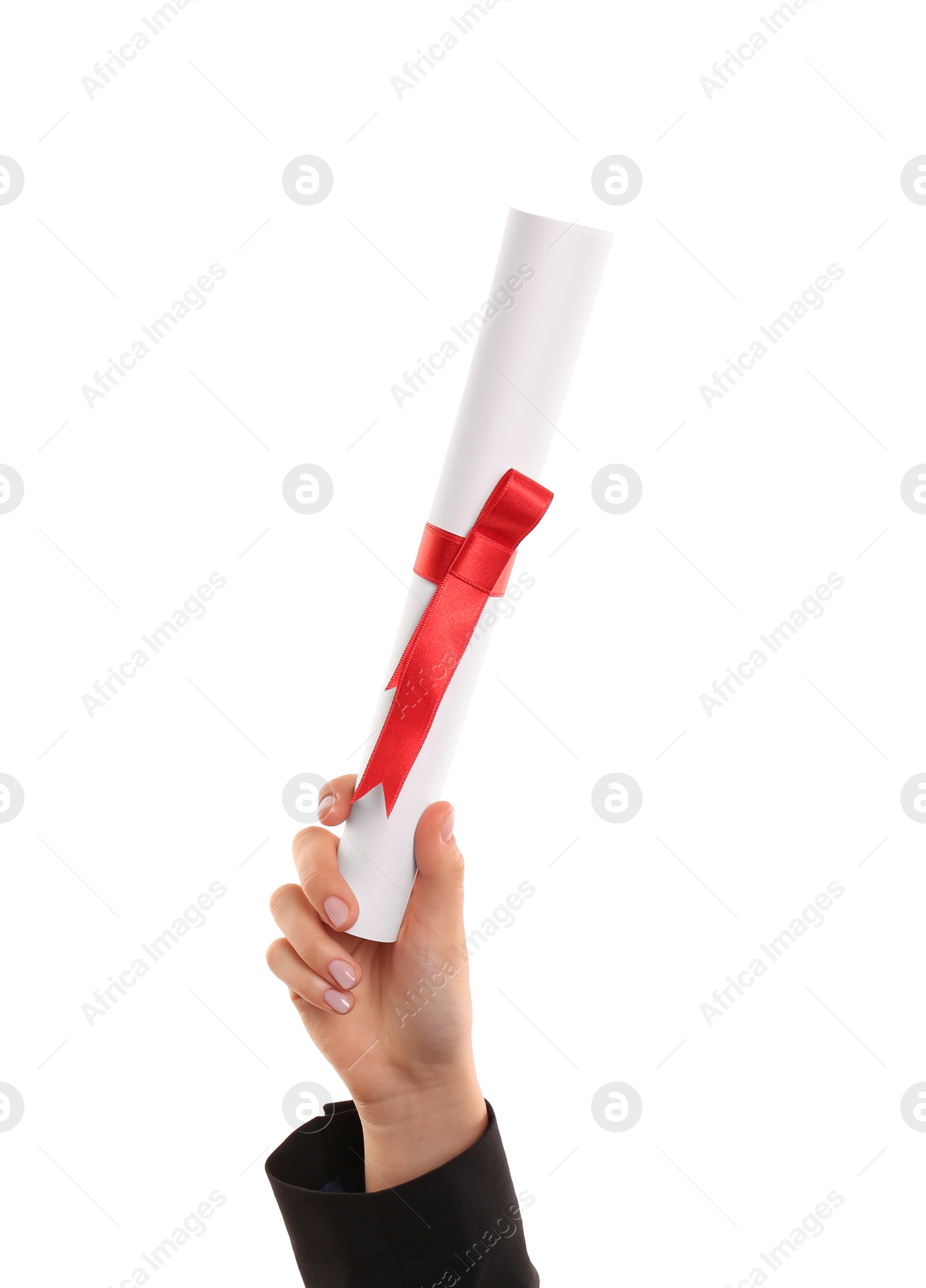 Photo of Student holding rolled diploma with red ribbon on white background, closeup