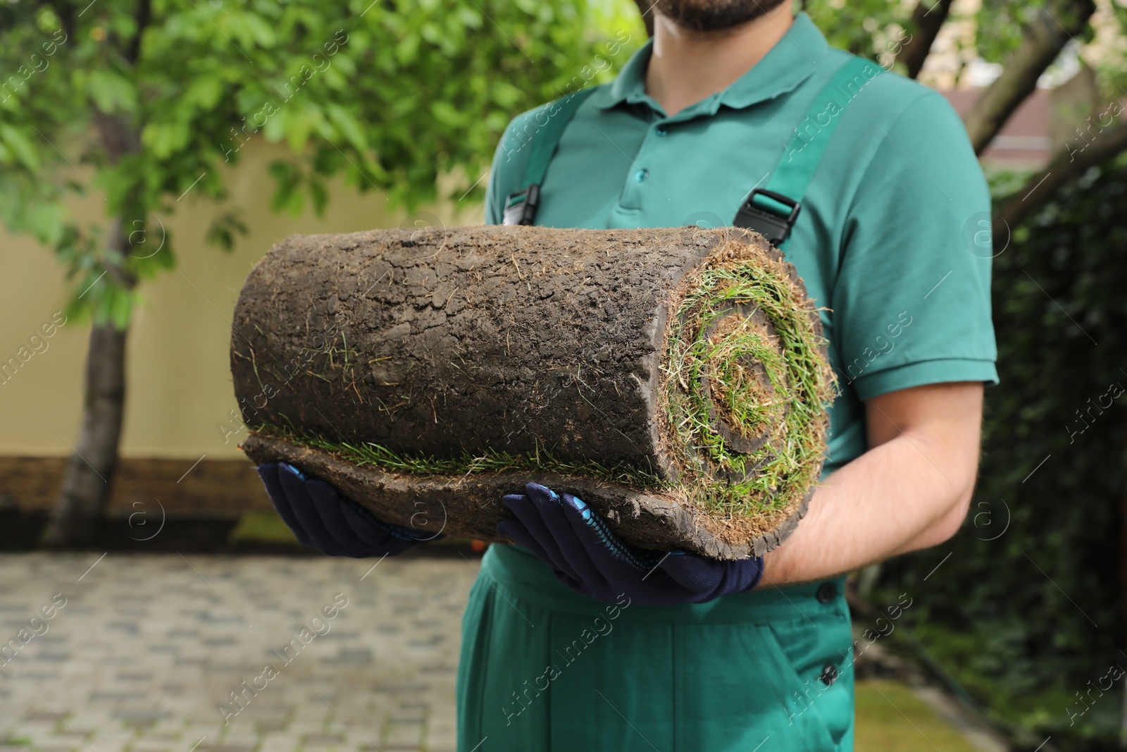 Photo of Worker holding rolled grass sod at backyard, closeup