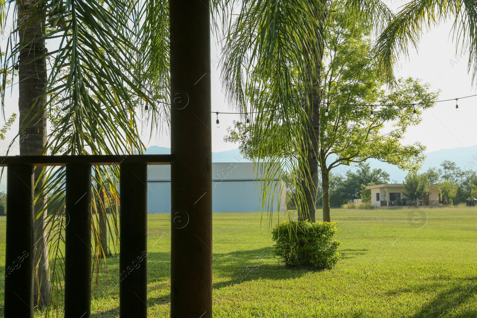 Photo of View on lawn with trees from terrace outdoors