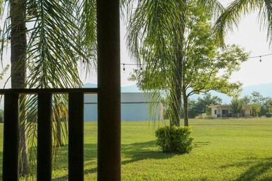 View on lawn with trees from terrace outdoors