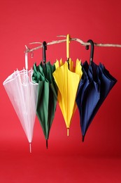 Photo of Closed bright umbrellas hanging on branch against red background