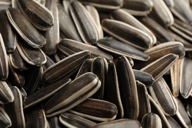 Photo of Raw sunflower seeds as background, closeup view