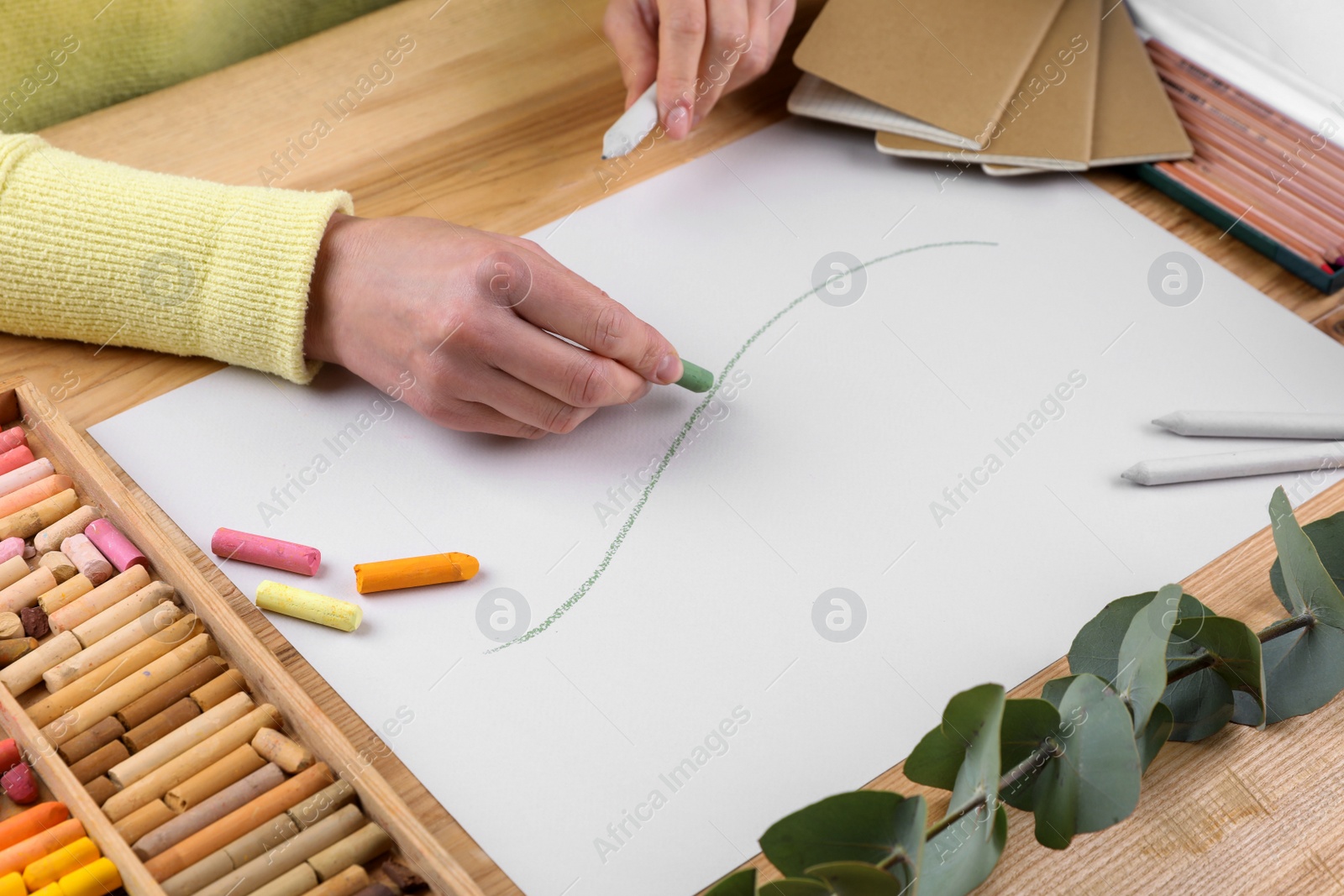 Photo of Woman drawing eucalyptus branch with soft pastels at wooden table, closeup