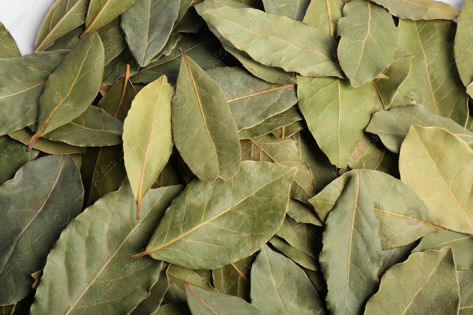 Photo of Pile of aromatic bay leaves as background, top view