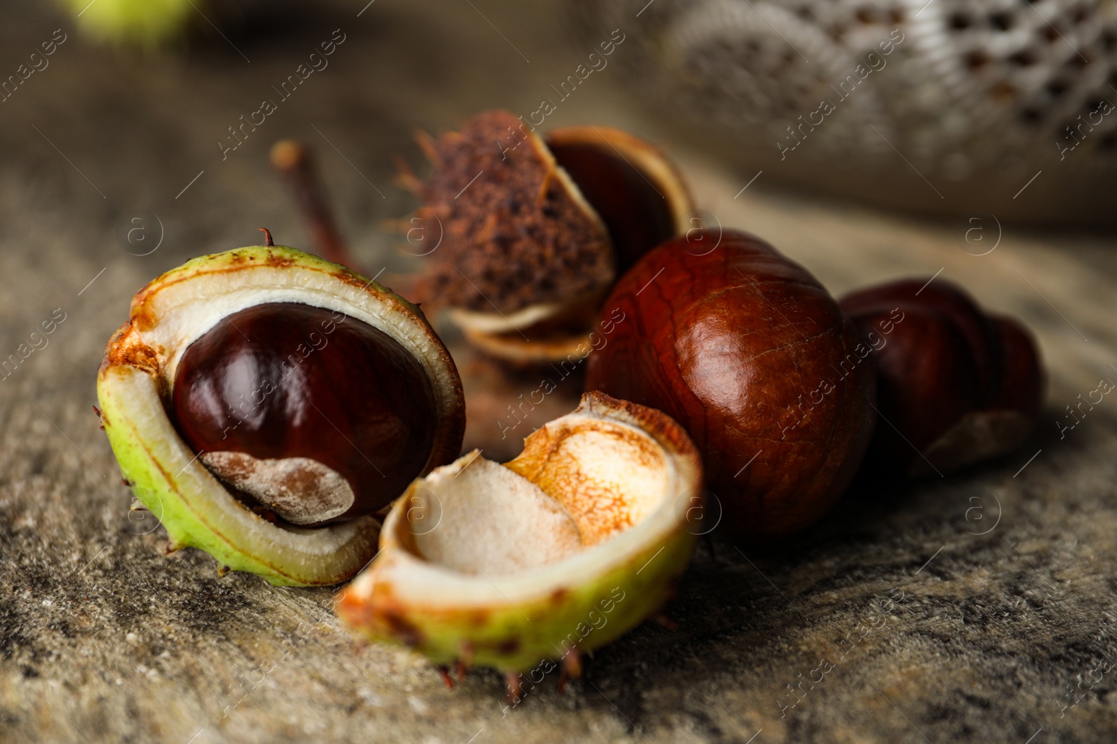 Photo of Horse chestnuts on wooden table, closeup view