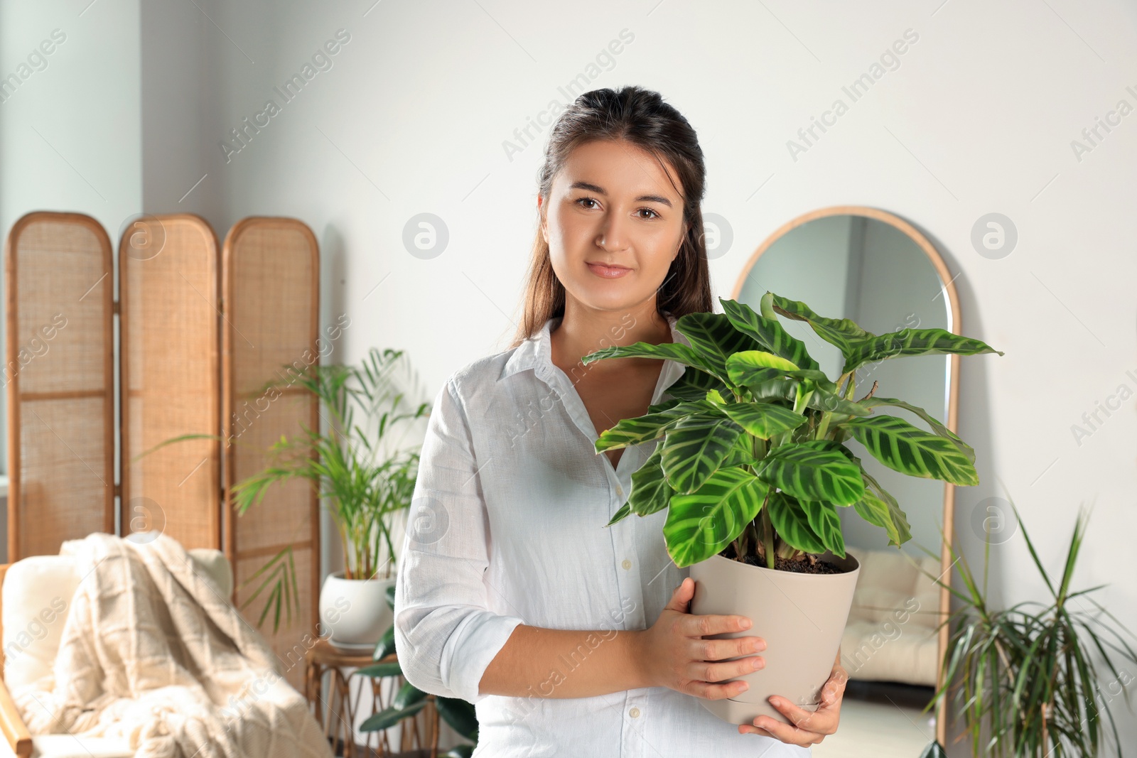 Photo of Young woman holding pot with houseplant in room