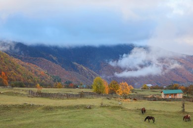 Photo of Picturesque view of high mountains with forest and horses grazing near village on autumn day