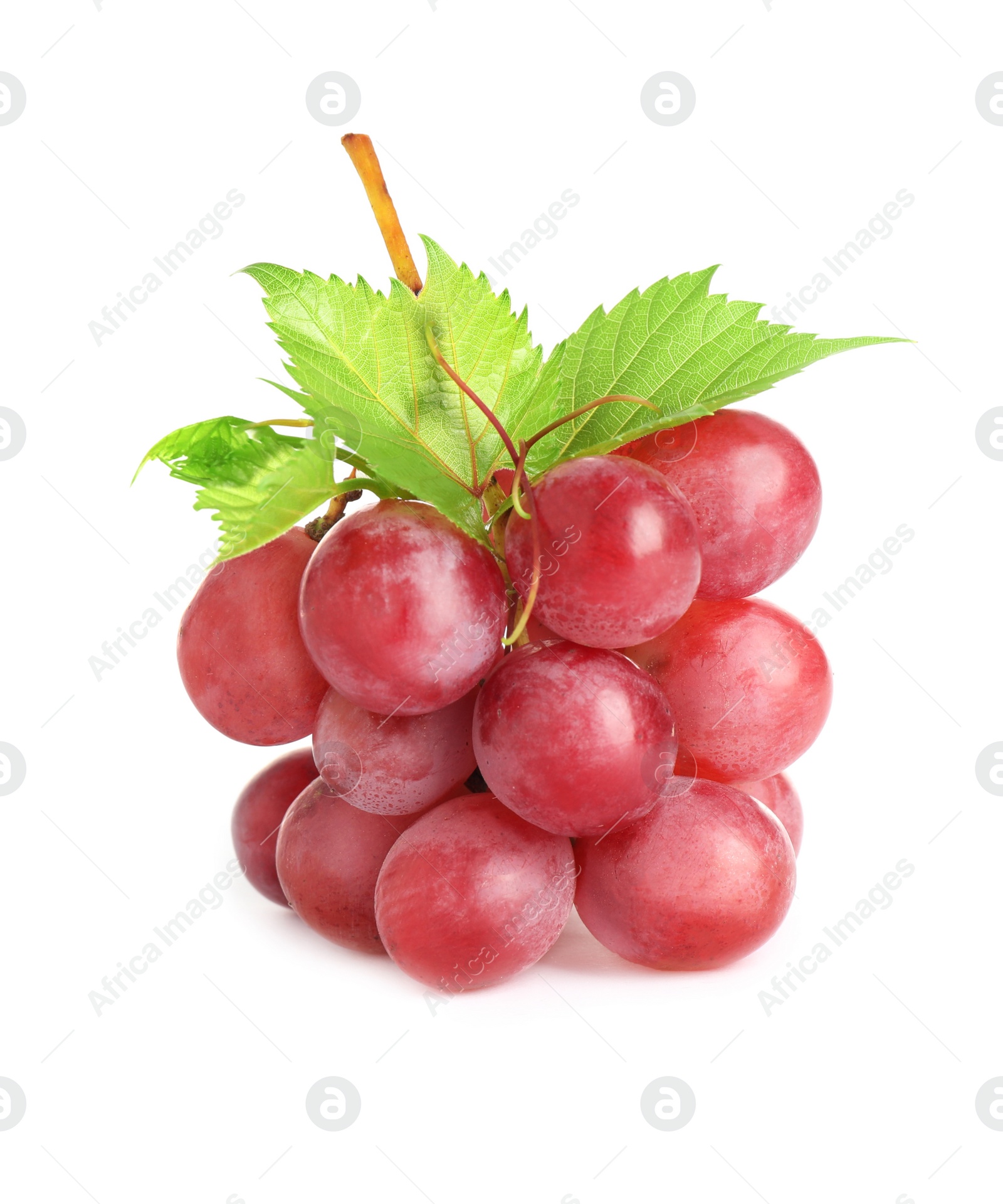 Photo of Bunch of red grapes with green leaves isolated on white