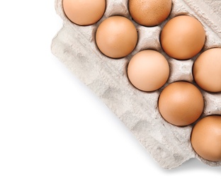 Photo of Carton of raw chicken eggs on white background, top view